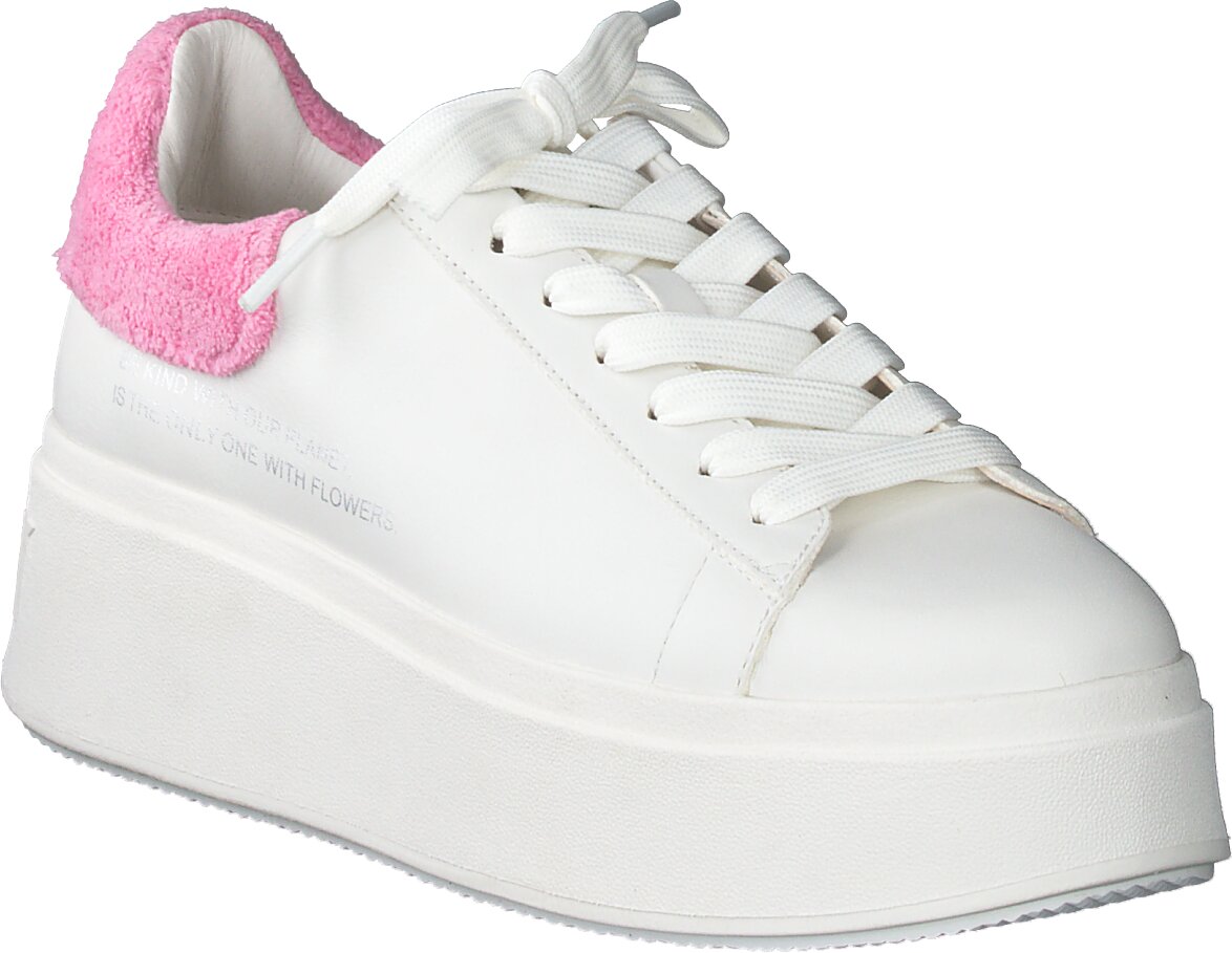 Ash shop sneakers damen