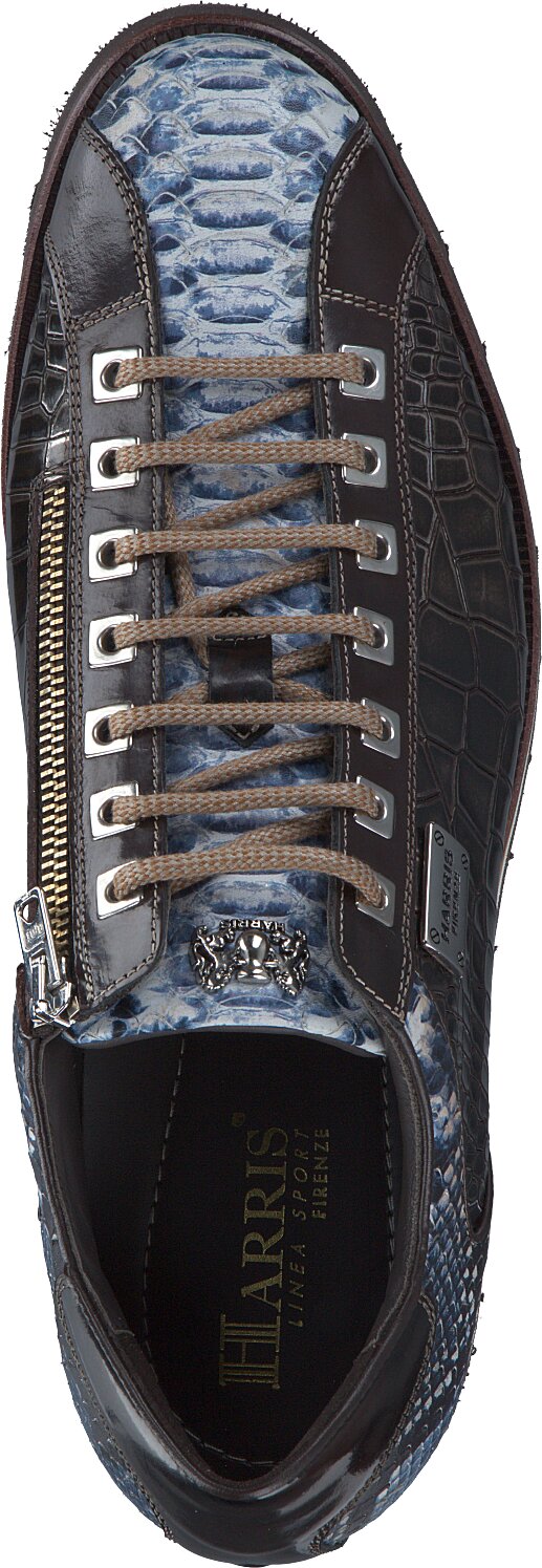 Harris Herren-Schnürschuhe aus Leder 244205033492 (Dunkelbraun 