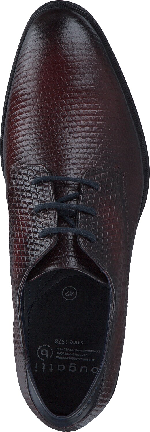Bugatti Herren-Schnürschuhe 240291004273 (Braun) online kaufen | GISY