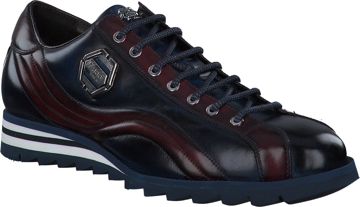 Harris Herren-Schnürschuhe aus Leder 244101000002 (Blau) Bild 01