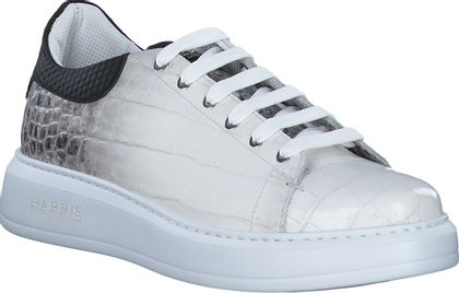 Harris PAUL Herren-Sneaker aus Leder 244701000080 (Weiß)