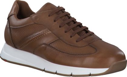 P448 Sneaker aus Leder 244281624627 (Braun) online bestellen | Prange