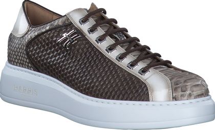 Harris Herren-Sneaker 244285000000 (Braun)