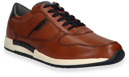 Sioux ROJARO Herren-Sneaker 244221000013 (Braun)