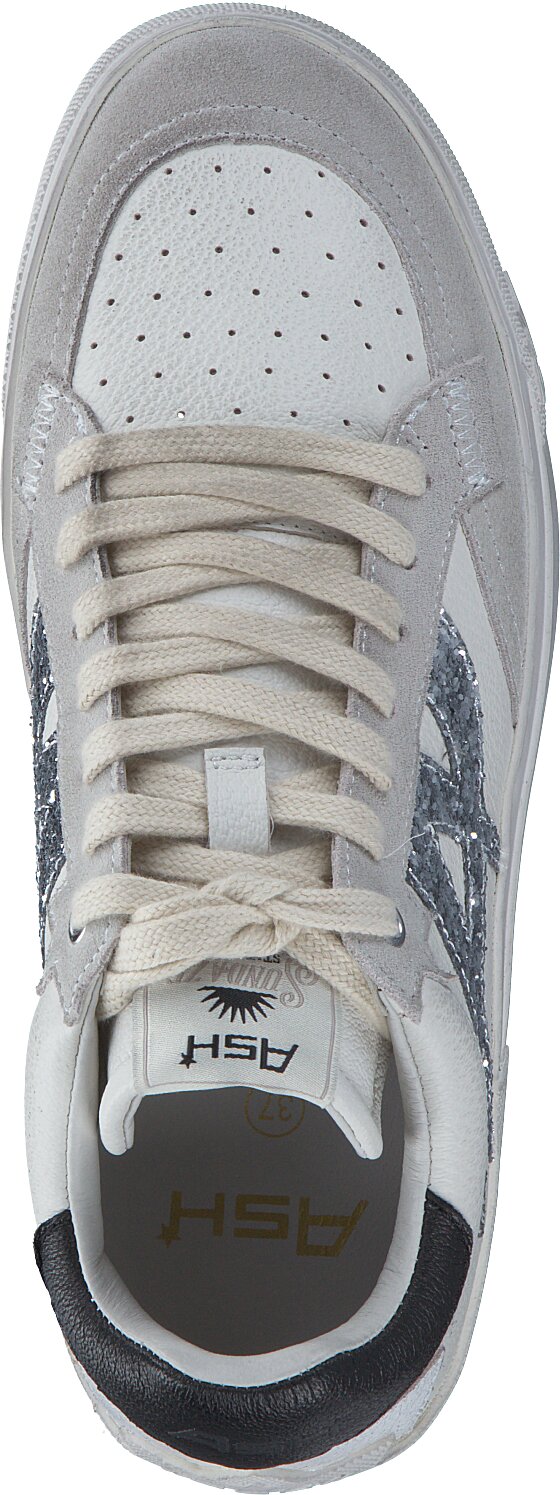 Ash sneakers online deals