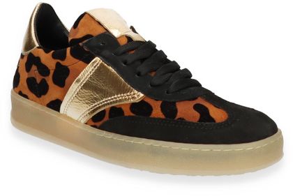 Paul Barritt Damen-Schnürschuhe mit Leo-Print 101082000004 (Bunt)