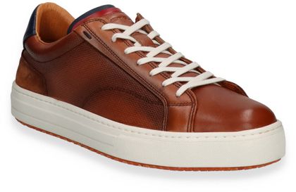 Ambitious Sneaker für Herren 244301000008 (Camel)