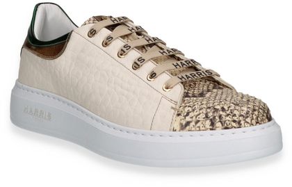 Harris Herren-Sneaker 244385000001 (Beige/Bunt)