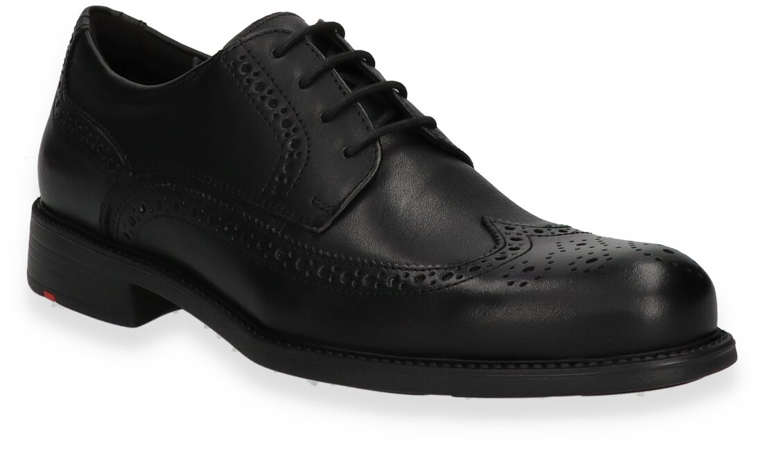 LLOYD Schnürschuhe für Herren aus Leder 243001000005 (Schwarz) Bild 01