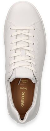 GEOX SPHERICA ECUB Herren-Sneaker 244701000148 (Weiß)