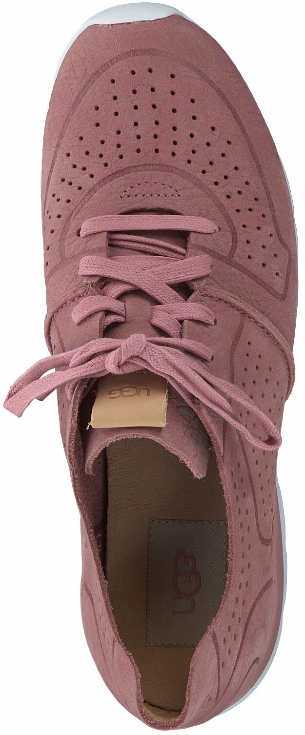 Ugg sneaker clearance rosa