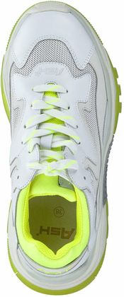 ASH Damen-Schnürschuhe aus Leder 101781762581 (Weiß)