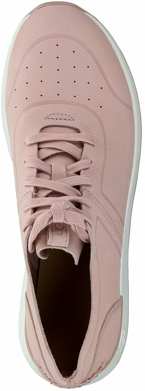 Ugg sneaker best sale rosa