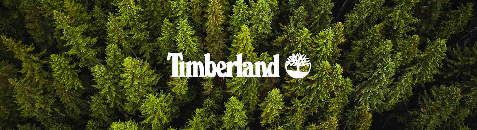 Juppen: Timberland Winterschuhe für Herren online shoppen