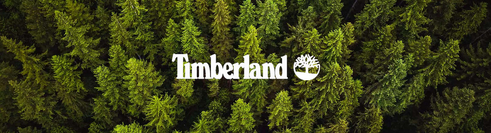 Juppen: Timberland Plateau-Sandalen für Damen online shoppen