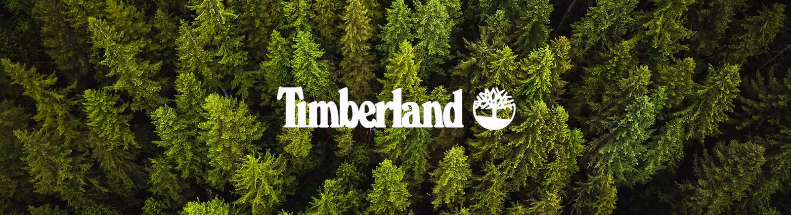 Timberland Damenschuhe online entdecken im Juppen Shop
